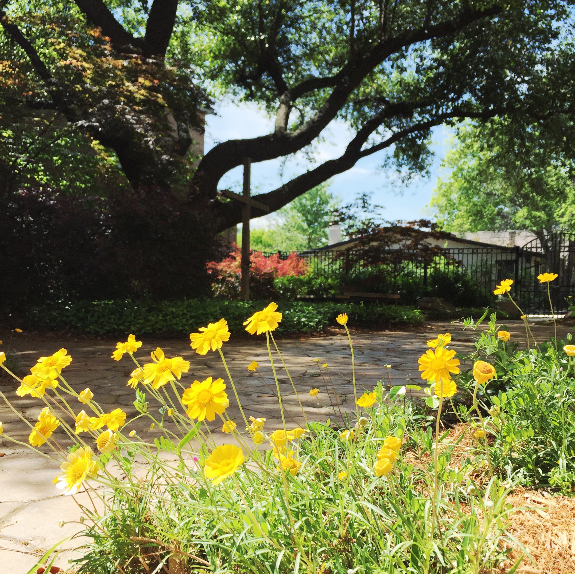 04072016 garden.jpg
